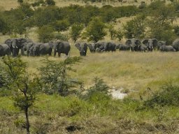 Seronera_and_Lobo2003-035